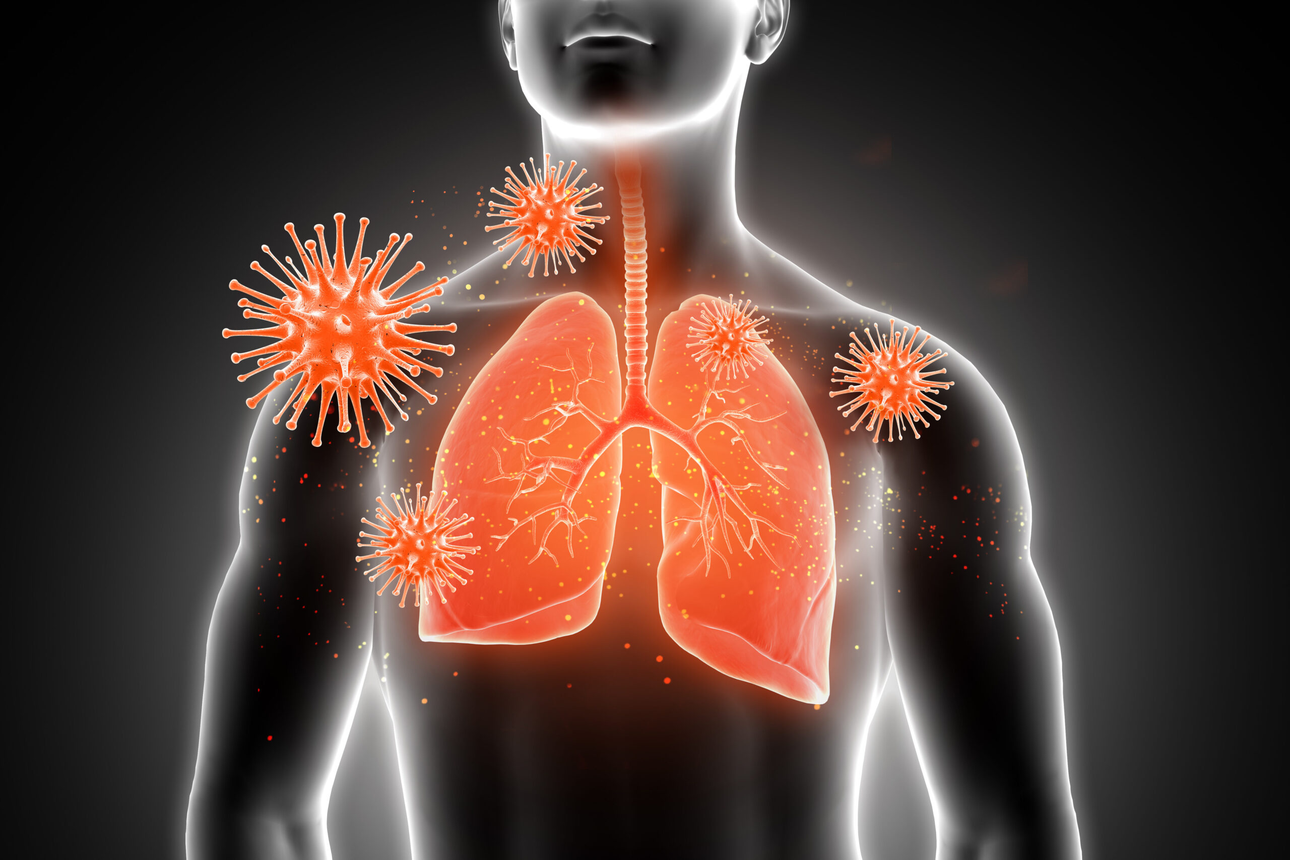 3d medical male figure with lungs highlighted and virus cells