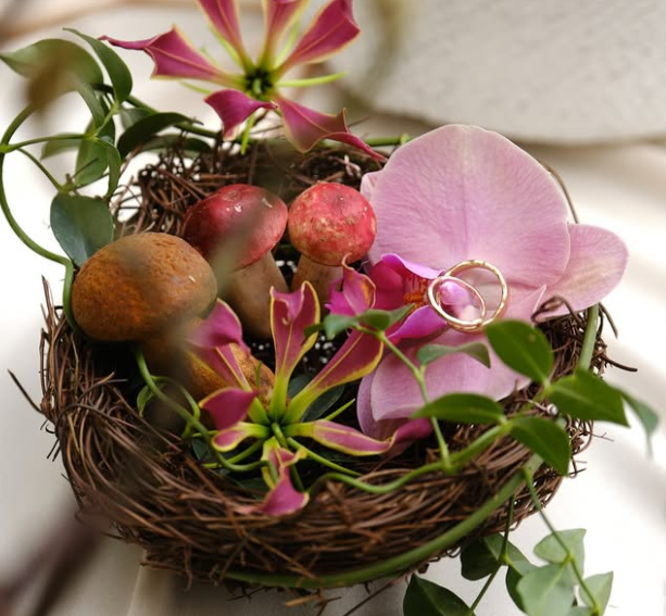 螢幕擷取畫面 2025 06 20 141647