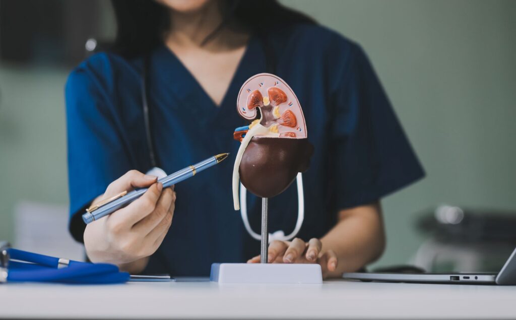 Portrait young female doctor cardiologist working office modern clinic